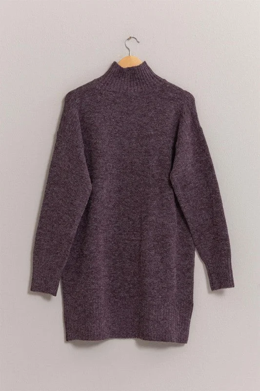 the Stassi sweater dress - dark plum Bright Pastel Dark
